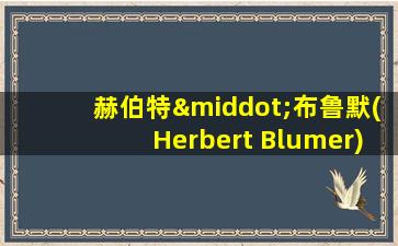 赫伯特·布鲁默(Herbert Blumer)